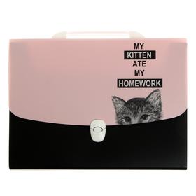 Папка-портфель 12 отделений на замке, A4 (330 x240 x30 мм) 800 мкм, deVENTE Hidden Cat , цвет розовый