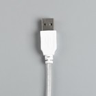 Гирлянда «Нить» 3 м с насадками «Шарики», IP20, прозрачная нить, 20 LED, свечение мульти (RG/RB), мигание, USB 806831