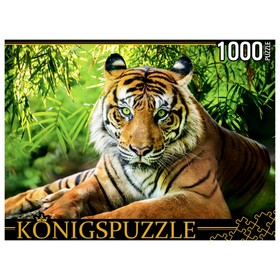 Пазлы «Благородный тигр», 1000 элементов