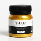 Декоративный гель для волос, лица и тела COLOR GEL Holly Professional, Gold, 50 мл 7138943 - фото 1684328