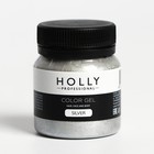 Декоративный гель для волос, лица и тела COLOR GEL Holly Professional, Silver, 50 мл - фото 1684369