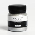 Декоративный гель для волос, лица и тела COLOR GEL Holly Professional, Silver, 50 мл 7138955 - фото 1684369