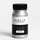 Декоративный гель для волос, лица и тела COLOR GEL Holly Professional, Silver, 100 мл 7138956 - фото 1684374