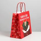 Пакет подарочный «Зажги в себе», 22 × 22 × 11 см 6249092