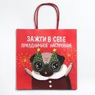 Пакет подарочный «Зажги в себе», 22 × 22 × 11 см 6249092