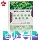 Файл-вкладыш А4 Calligrata, 45 мкм, глянцевый, вертикальный, 100 штук Файл-вкладыш А4 Calligrata, 45 мкм, глянцевый, вертикальный, 100 штук
