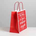 Пакет подарочный «С Новым годом!», 22 × 22 × 11 см 6249095