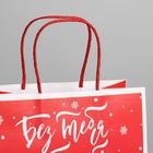 Пакет подарочный «С Новым годом!», 22 × 22 × 11 см 6249095