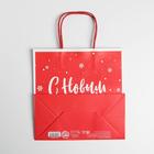 Пакет подарочный «С Новым годом!», 22 × 22 × 11 см 6249095