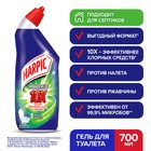 Средство дезинфицирующее для туалета Harpic Power Plus "Лесная свежесть", 700 мл - фото 7893658