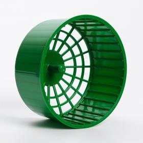 Колесо для грызунов  пластиковое, без подставки, 14,5 см, зелёное