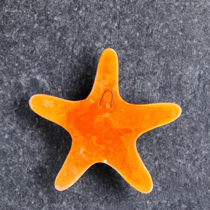 Coral 12. Морская звезда игрушка. Коралловая звезда. Коралловая звезда для декора. Звезда кораллового цвета.