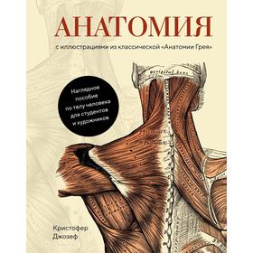 Анатомия (с иллюстрациями из классической «Анатомии Грея»). Джозеф К. 7262343