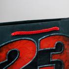 Пакет ламинированный вертикальный «С днём защитника», L 31 × 40 × 11.5 см 6631916