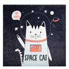 Плед "Крошка Я"  Space cat, 100*100 см, корал-флис 160гр/м2,  100% п/э - фото 799906788