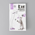 Набор для кошек «Поиграй со мной» мяч, мышь, дразнилка - фото 802717874