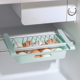 Полка для яиц в холодильник, подвесная, 12 ячеек, 26×17×5 см, цвет МИКС