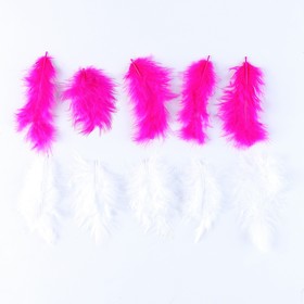 Набор перьев для декора, набор 10 шт., размер 1 шт: 10×2 см, цвета МИКС