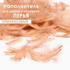 Наполнитель из перьев для шаров и подарков, абрикосовый, 6гр. 6943898 - фото 7893829