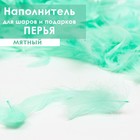 Наполнитель из перьев для шаров и подарков, мятный, 6гр. 6943910 - фото 3033102