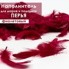 Наполнитель из перьев для шаров и подарков, фиолетовый, 6гр. 6943911 - фото 3033104