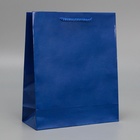 Пакет ламинированный «Синий», ML 21 х 25 х 8 см 6582794