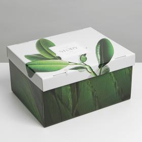 Коробка складная «Листья», 31,2 х 25,6 х 16,1 см