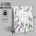 Пакет ламинированный «Best wishes», ML 23 х 27 х 8 см 6582623