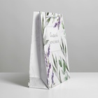 Пакет ламинированный «Best wishes», ML 23 х 27 х 8 см 6582623