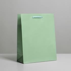 Пакет ламинированный «Зелёный», MS 18 х 23 х 8 см