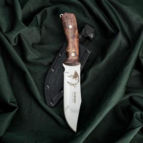 Нож Сафари, нержавеюща сталь 65х13