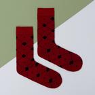 Носки Pattern bordo р. 41-42 (26 - 28 см) - фото 800113685