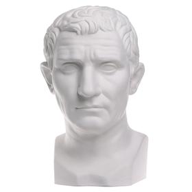 Гипсовая фигура известные люди: голова Августа, 26 х 28 х 48 см