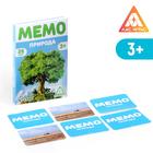 Развивающая настольная игра «Мемо. Природа» 7018645 - фото 6812215