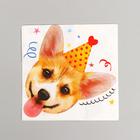 Салфетки бумажные «Собачки», набор 20 шт., 33х33 см - фото 800047314