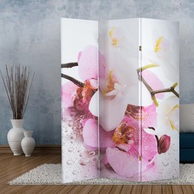 Ширма "Орхидеи. Утренняя свежесть", 160 × 150 см