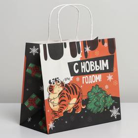 Пакет подарочный крафтовый «Забавный тигруля», 25 × 22 × 12 см