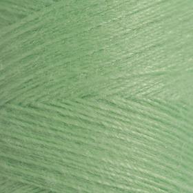 Нитки 40ЛШ, 200 м, цвет мятно-зелёный №3902