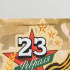 Пакет ламинированный горизонтальный «Танк», L 40 × 31 × 11.5 см 6631936