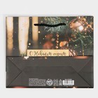 Пакет ламинированный горизонтальный «Золотое шары», MS 23 × 18 × 8 см 6765830