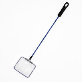Skach blue, with plastic handle, 7.5 cm