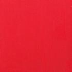 Плащевая ткань водоотталкивающая пропитка цвет красный, ширина 152 см - фото 3237230