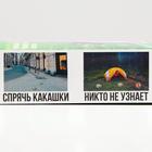 Коробка складная c приколом, "Спрячь", 29 х 23 х 9 см. 7293218