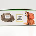 Коробка складная c приколом, "Спрячь", 29 х 23 х 9 см. 7293218