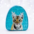 Рюкзак детский Tiger,23 х 20,5 см, кожзам - фото 6767209