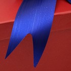 Бант-шар №5 металлик, цвет синий 818144