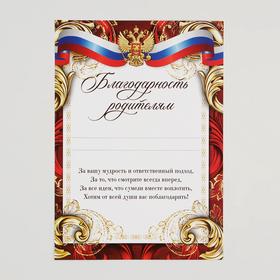 Грамота "Благодарность родителям", символика, 14,8х21 см в Донецке