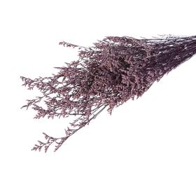 Сухоцвет «Кермек» 130 г, цвет фиолетовый