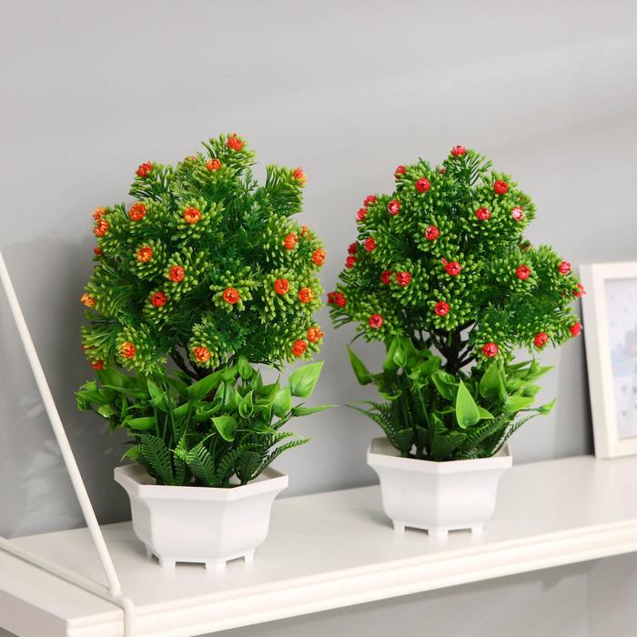 Барбарис тунберга ауреа. Куст 11. Светодиодный куст. Бобовник альпийский. Зеленый куст с желтыми цветами название.