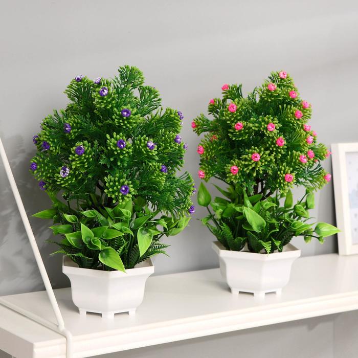 Самшит вечнозелёный. Куст 11. Спирея куст. Куст 11. Куст 11.